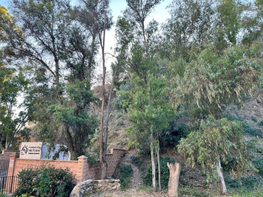Apartamento Amar-Cura Malaga Luaran gambar